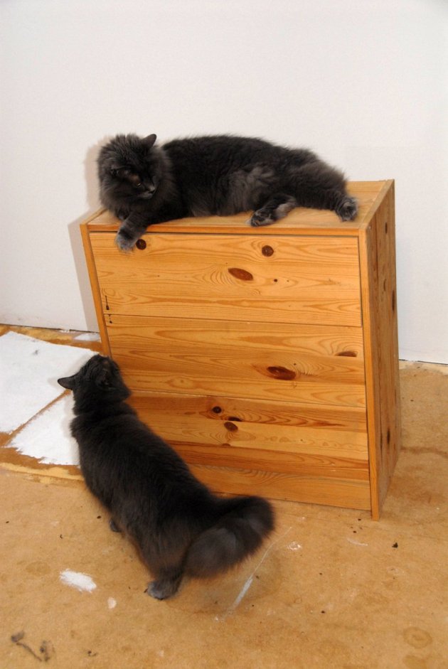 "Noooo! You can't get rid of our scratching chest! 